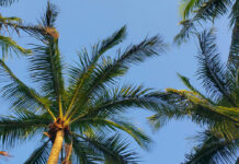 Dr. Ruben Cintron Joins Advocate Health Advisors as Director of Finance, Accounting & Analytics